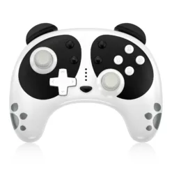 Panda Pro Controller Positive display