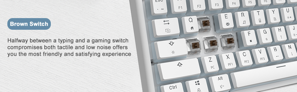 brown switch pudding keycaps Keyboard